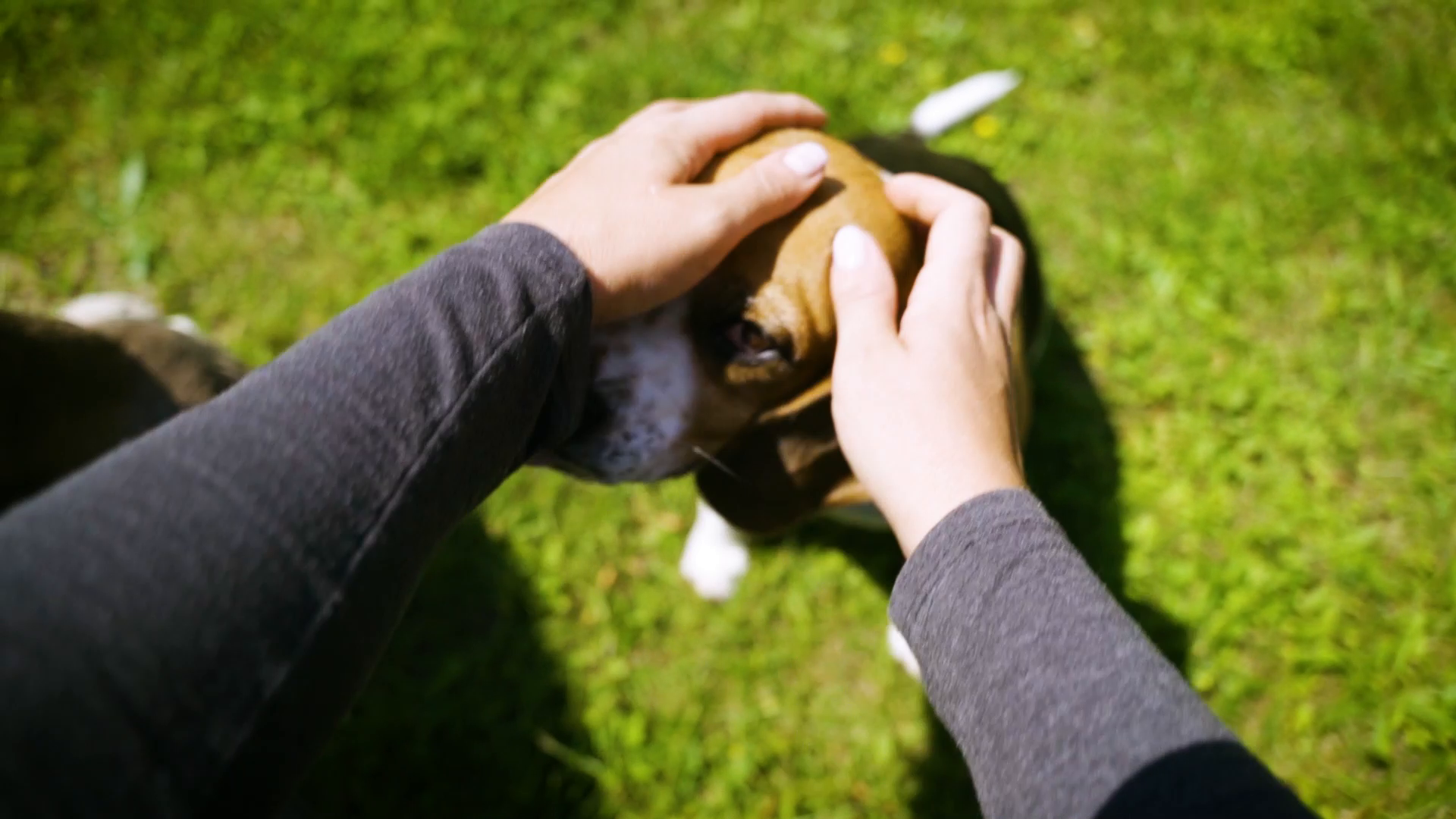 Produktvideo Silber-Linie