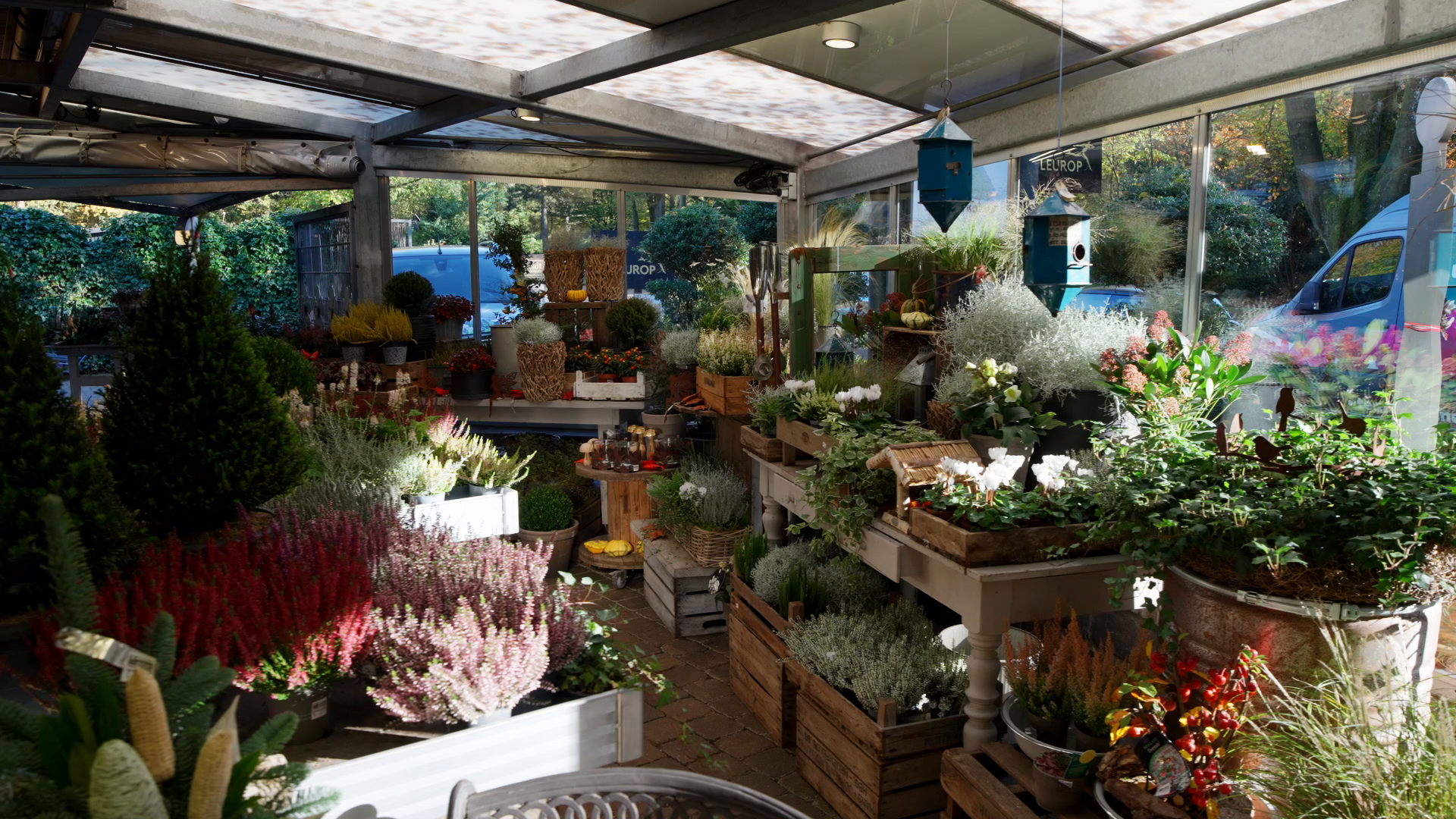 Blumen Kaiser Hamburg – Die Kunst der Floristik erleben