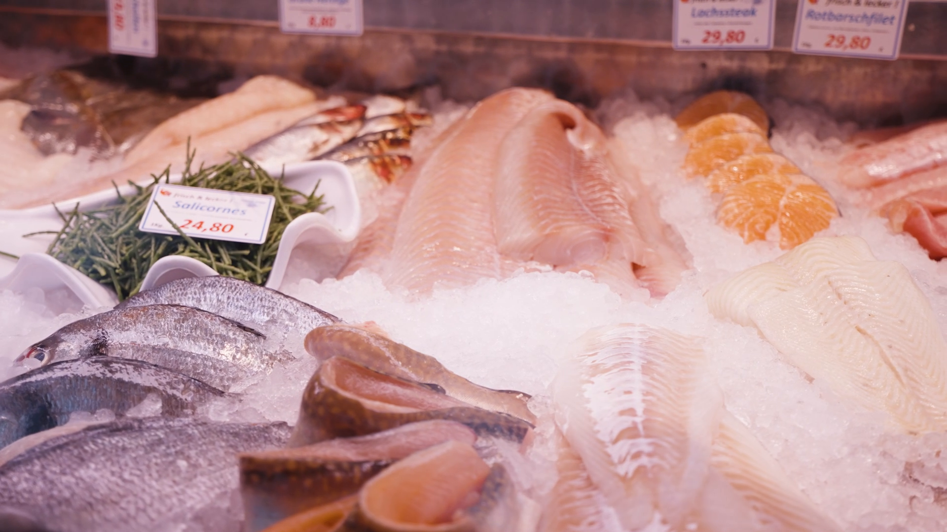 Guten Fisch Lenz – Frische aus dem Meer