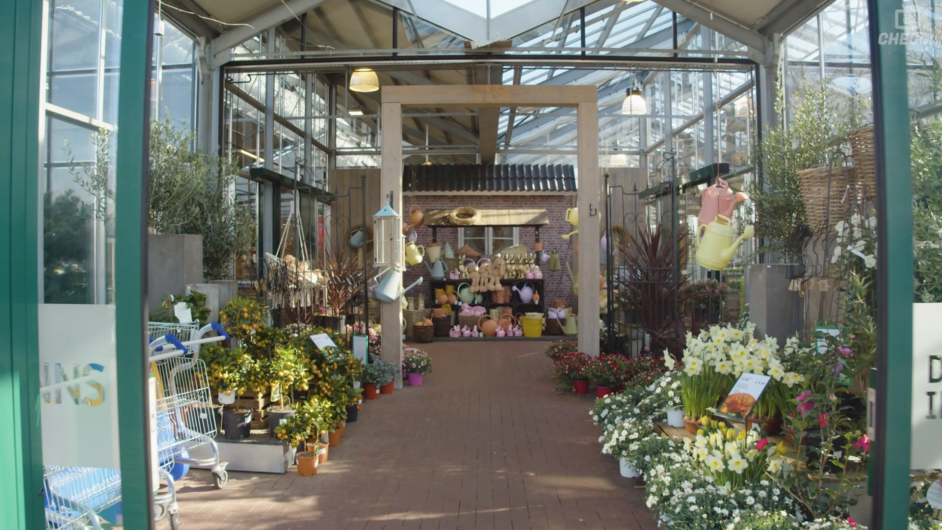 Unternehmensvideo von Neumanns Gartenwelt, Handwerk in Tornesch