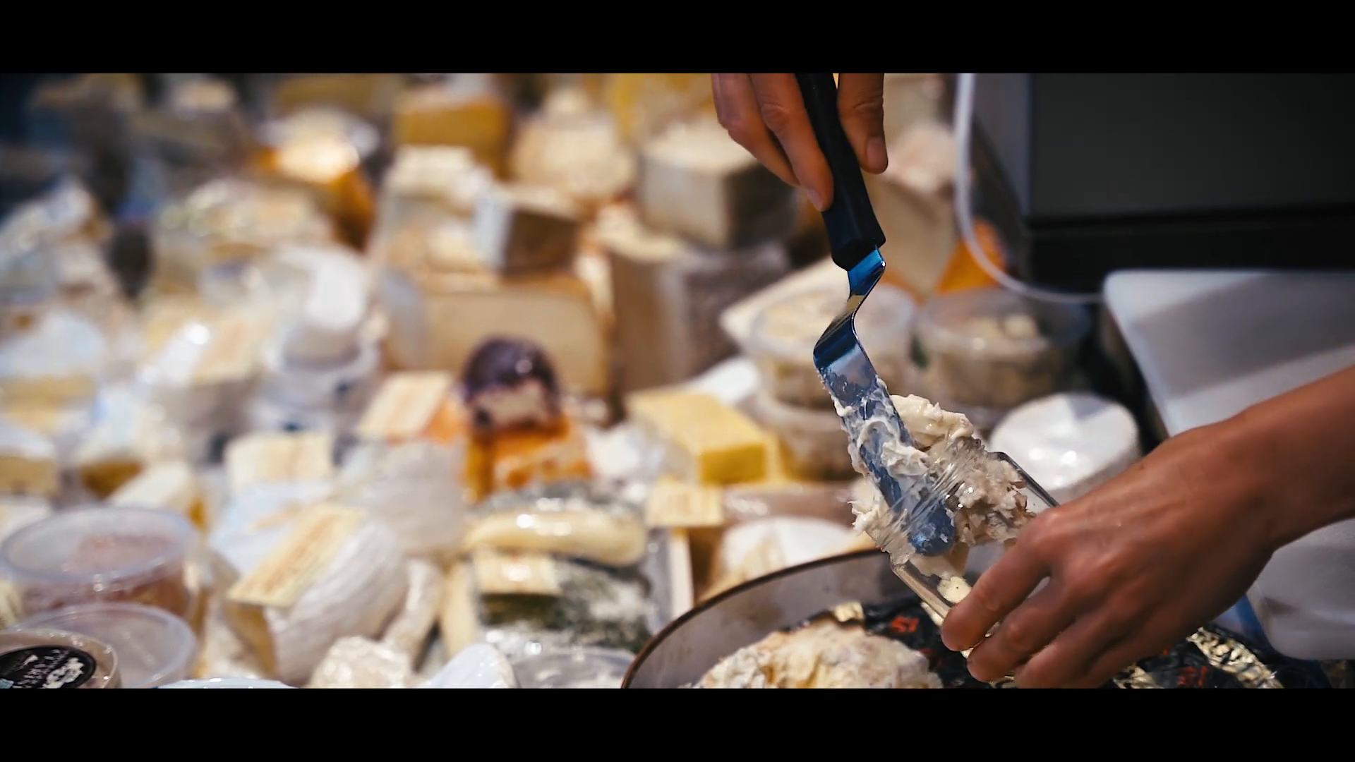 Unternehmensvideo von Findorffer Käsekontor, Ernährung in Bremen