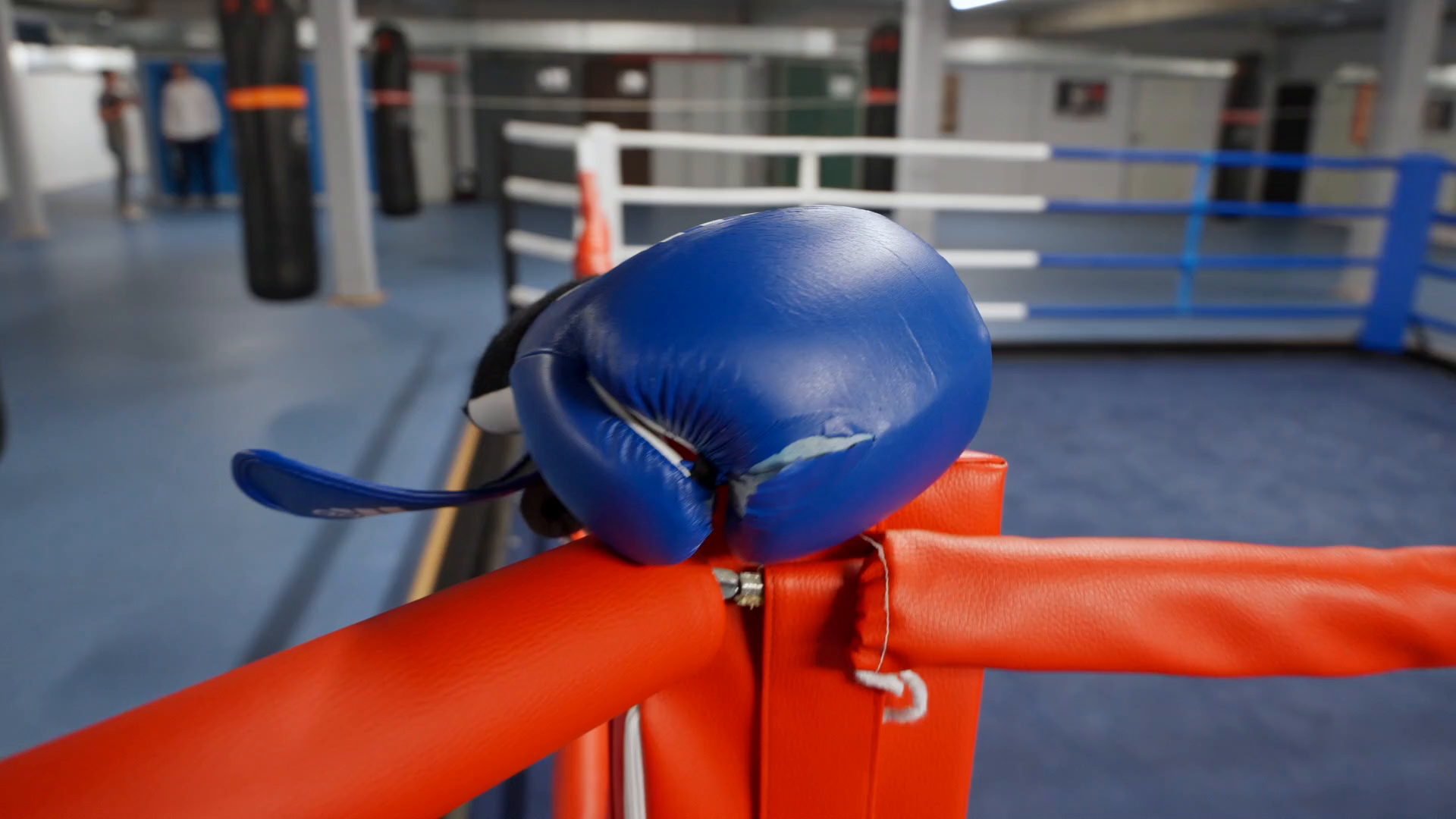 Company video by TSV Glinde von 1930, sports