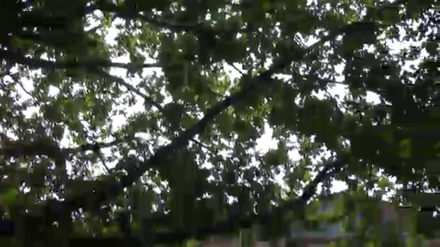 Company video by Modern Music School, education in Hamburg Bahrenfeld