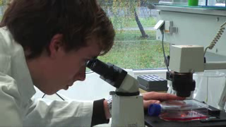 Unternehmensvideo von School of Life Science, Bildung in Hamburg Stellingen