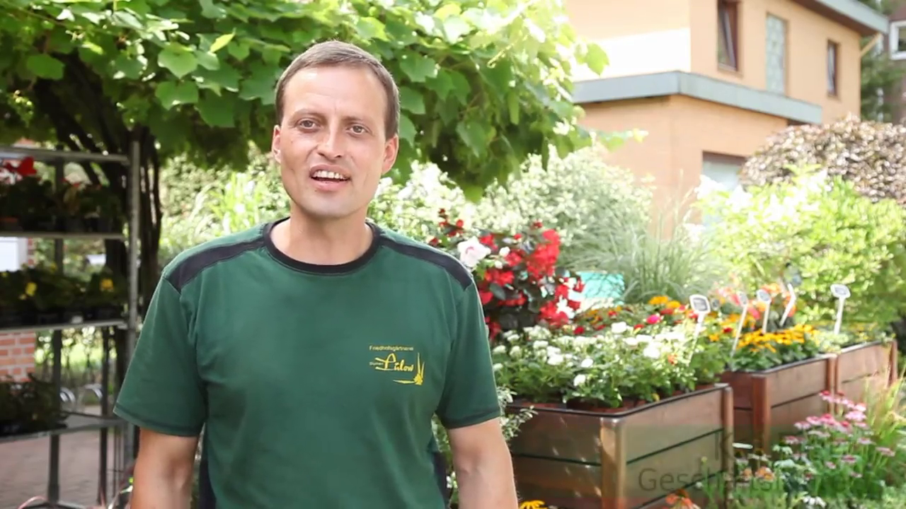 Company video by Blumen Lülow, bereavement in Hamburg Ohlsdorf