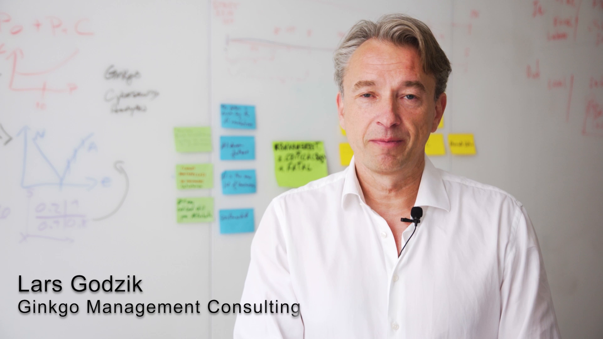 Unternehmensvideo von GINKGO MANAGEMENT CONSULTING, Unternehmensberatung in Hamburg