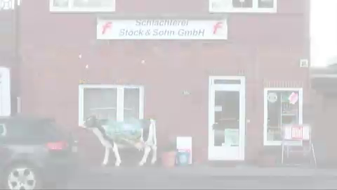 Unternehmensvideo von Stöck & Sohn, Einzelhandel in Hamburg Billbrook