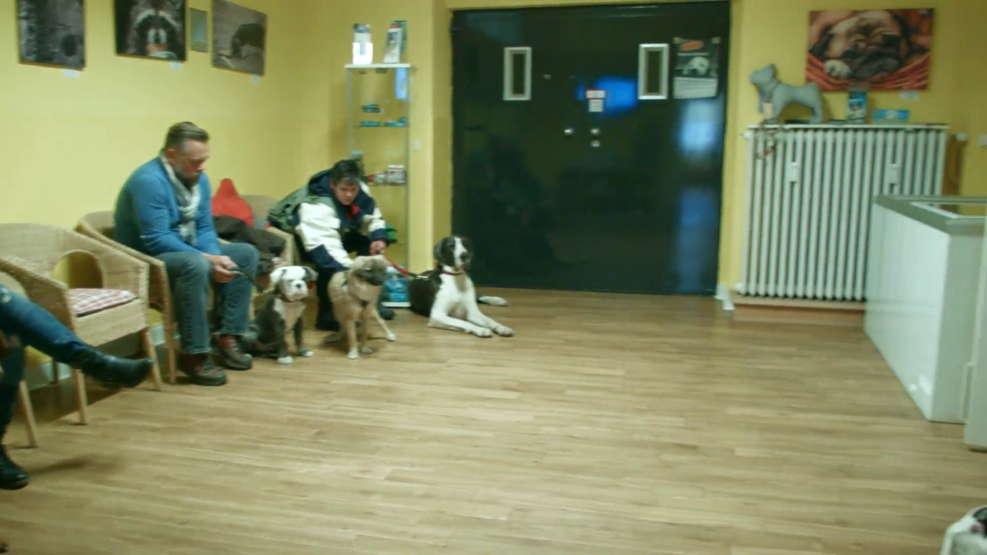 Company video by Tierarztpraxis Westend Village, healthcare in Hamburg