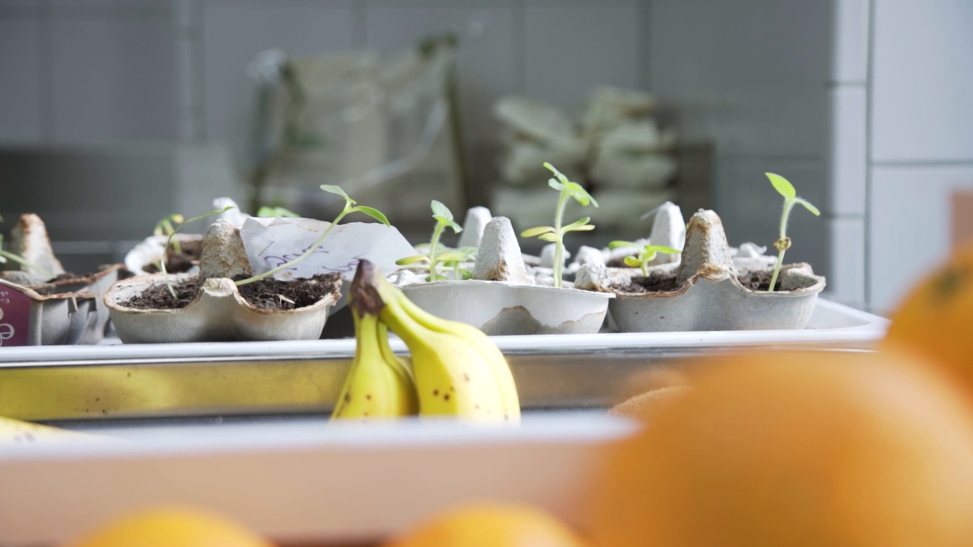 Company video by Mahalo, care in Berlin