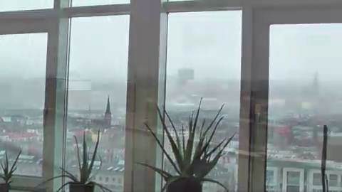 Unternehmensvideo von media lingua translations, Dienstleistung in Berlin Treptow