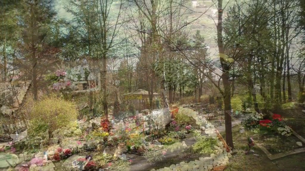 Company video by Bärolina Haustierbestattungen Bärliner Tierfriedhof, bereavement in Berlin