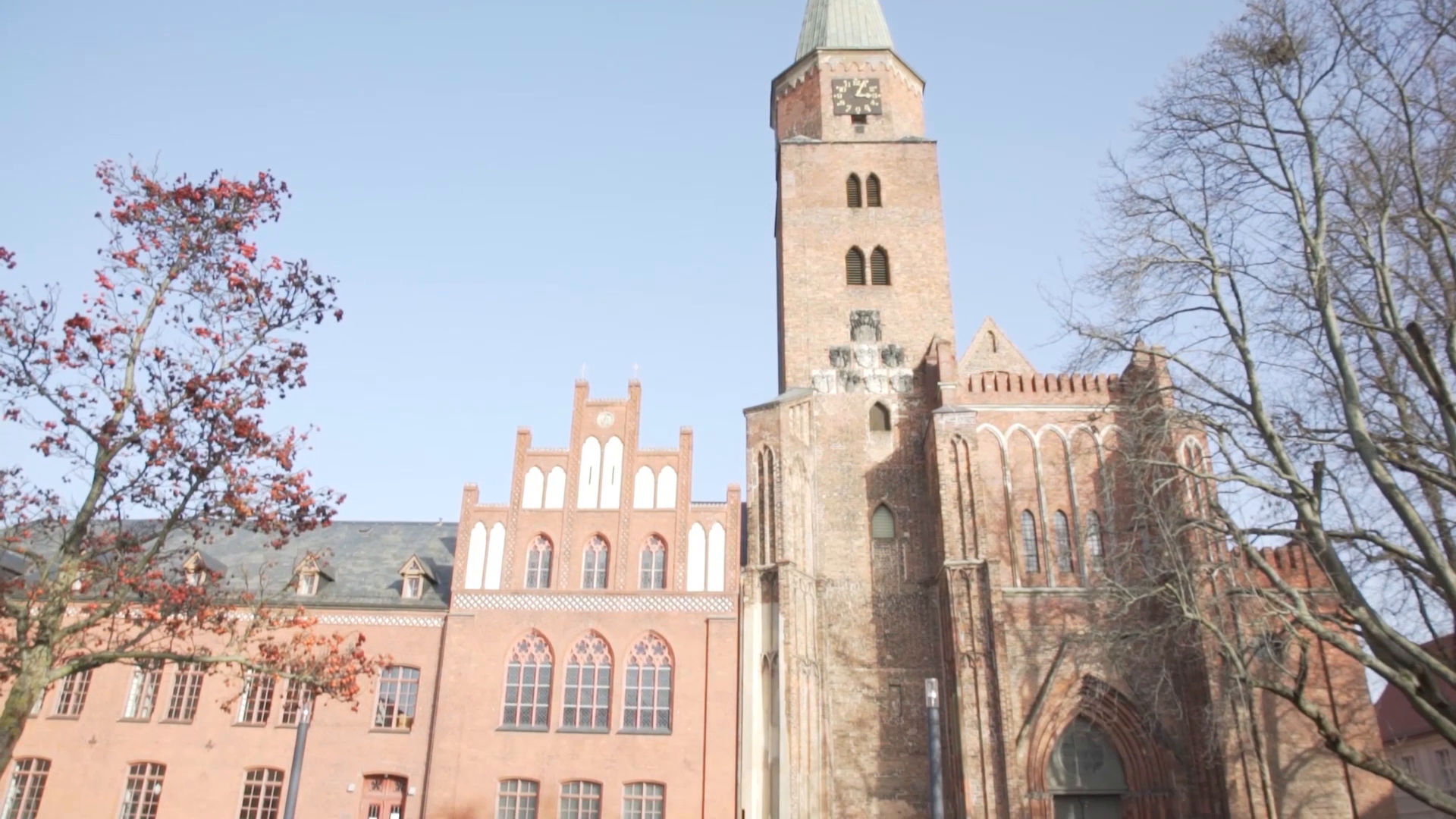 Unternehmensvideo von Imoran, Unternehmensberatung in Brandenburg an der Havel