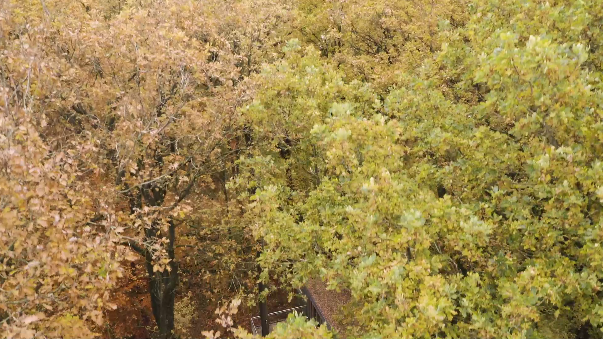Unternehmensvideo von Resort Baumgeflüster – The hidden Treehouse Resort, Gastronomie in Bad Zwischenahn