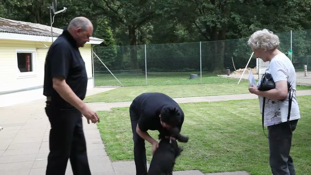 Unternehmensvideo von Jobs Tier-Hotel, Pflege in Buchholz