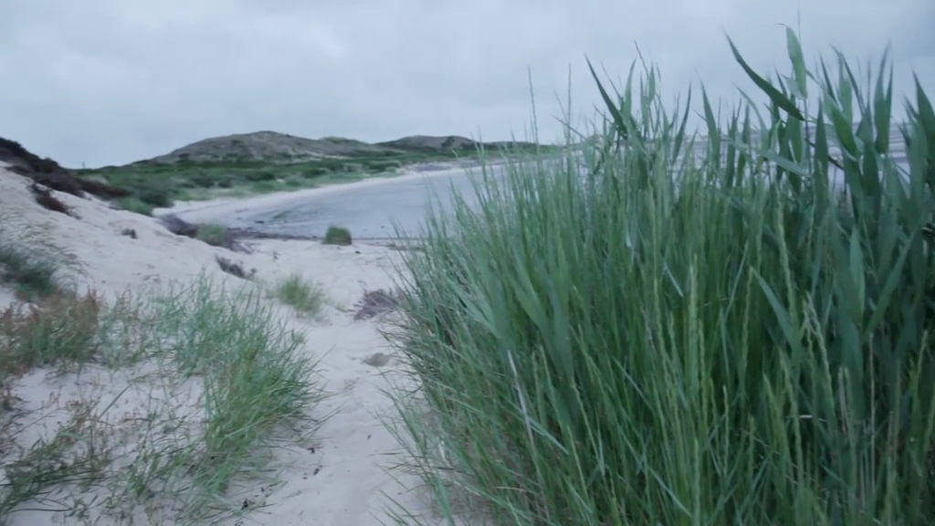 Unternehmensvideo von Sylter Appartement, Reisen in Sylt