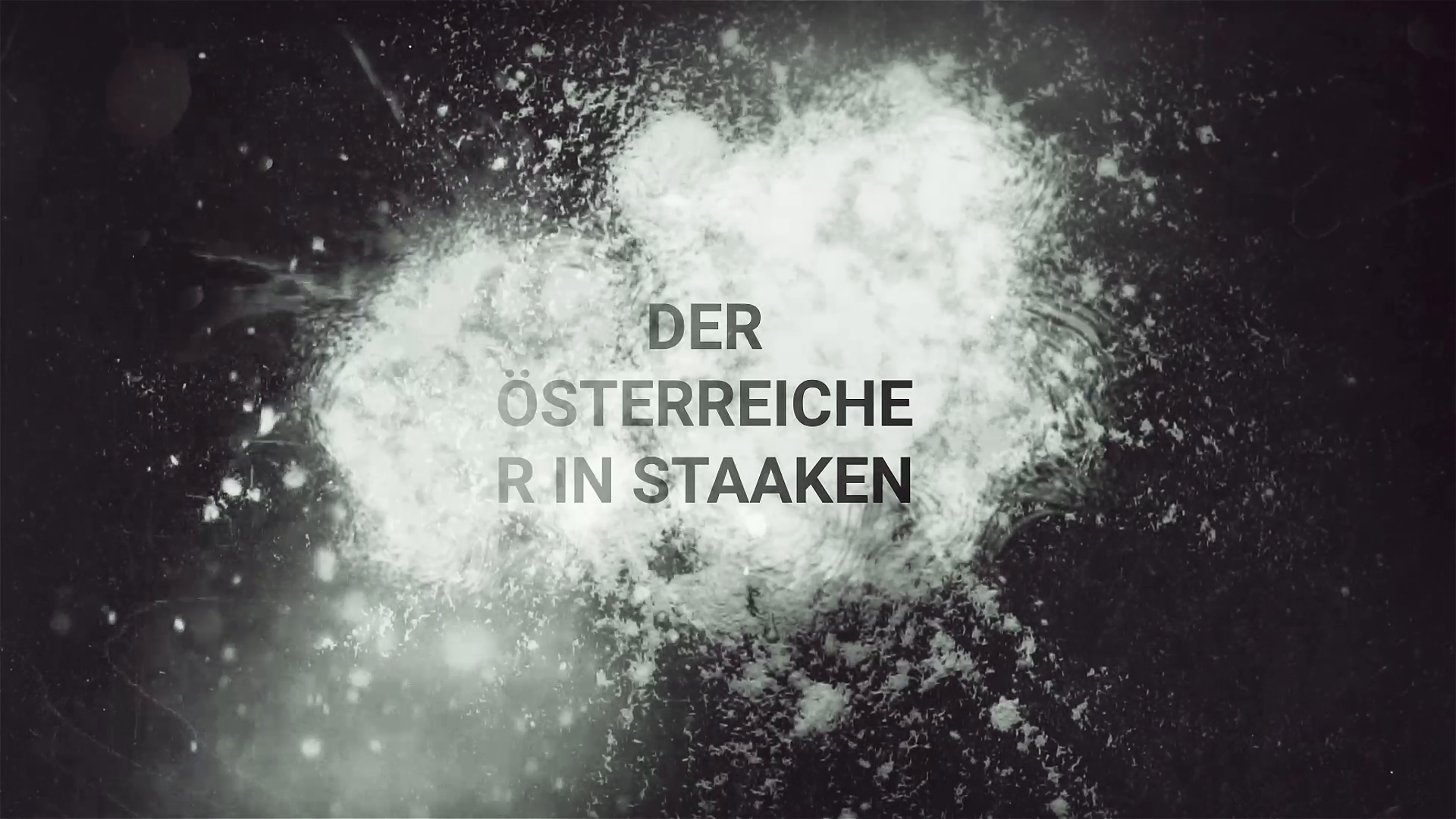 Company video by Der Österreicher in Staaken, restaurant in Berlin