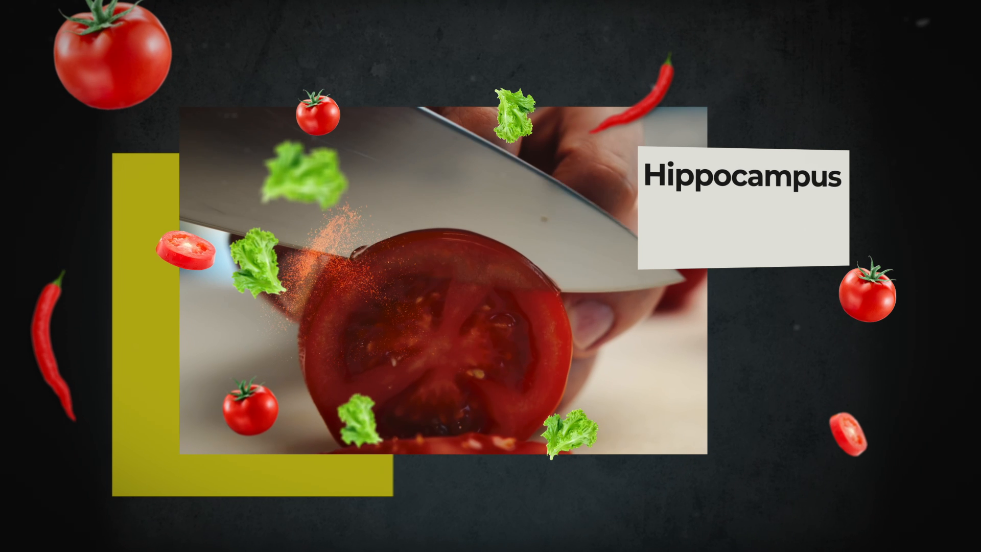 Unternehmensvideo von Hippocampus, Restaurant in München