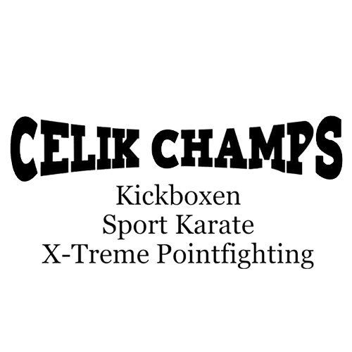 Logo Martial Arts Lübeck Team Celik-Champs – Sport